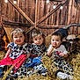 three_children, toddlers, cow_print_clothing, straw, barn, wooden_wall, wagon_wheel, cowboy_hat, guitar, rope, rustic, farm_theme, sitting, curious, playful, indoor, costume, cute, child, portrait