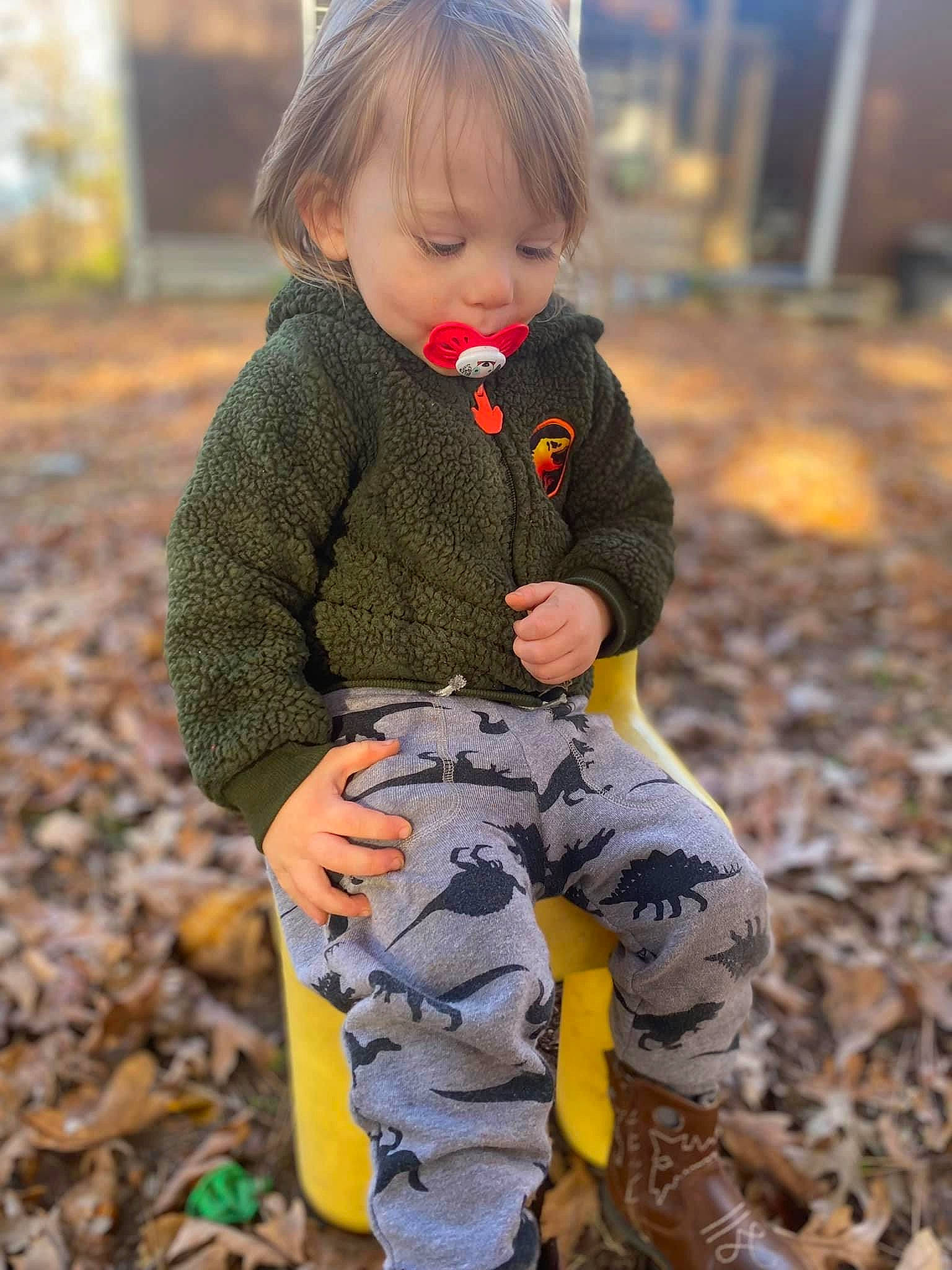 Johnathan joined the competition — help win amazing prizes! child, dress, eye, face, fawn, grass, hair, happy, head, human_body, leaf, outerwear, people_in_nature, person, plant, sleeve, street_fashion, sunlight, toddler, tree