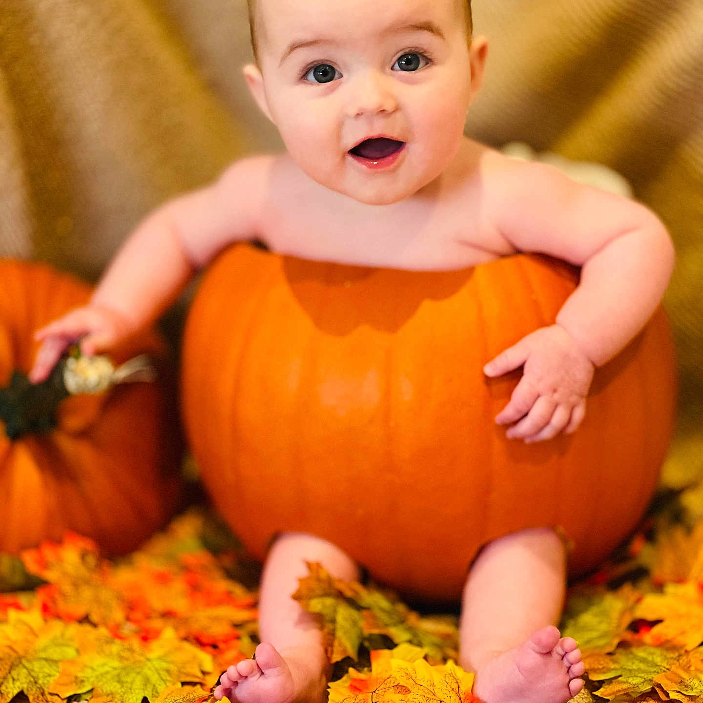 Lyra joined the competition — help win amazing prizes! baby, bodypart, face, finger, flower, food, hand, head, leaf, maple, person, photography, plant, portrait, produce, pumpkin, squash, toe, tree, vegetable