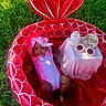 Zyaa is registered to the contest to win money with this photo: baby, infant, pool, inflatable, red, grass, outdoor, sunlight, pink, hat, bottle, sunglasses, three_months, child, summer, water, cute, smiling, playtime, relaxing