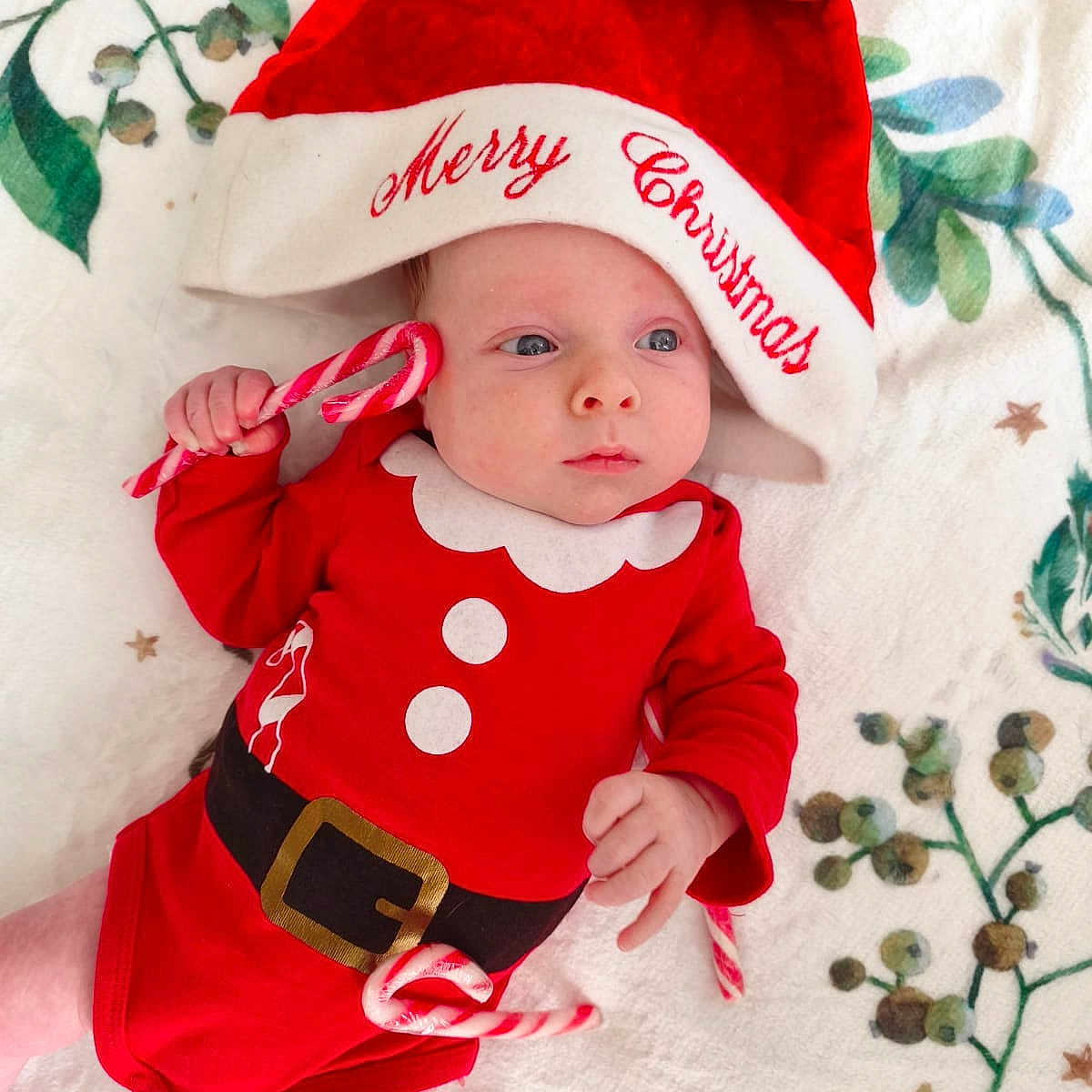 Pablo participe au concours pour gagner de l'argent avec cette photo : baby, berries, blanket, candy_cane, celebration, child, christmas, cute, face, festive, greenery, headwear, holiday, holiday_outfit, infant, lying_down, red_clothing, santa_hat, seasonal, toddler