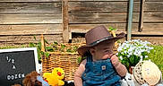 Angelo is registered to the contest to win money with this photo: baby, child, cowboy_hat, denim_overalls, boots, plush_toys, duck_toy, horse_toy, blanket, outdoor, grass, basket, wooden_fence, sign, milestone, 7_months, cute, portrait, sunny, sitting