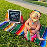 baby, sombrero, sandwich, mexican_flag, blanket, grass, maracas, jarritos, bottle, letter_board, outdoor, sunny, child, celebration, colorful, picnic, food, sitting, summer, cute