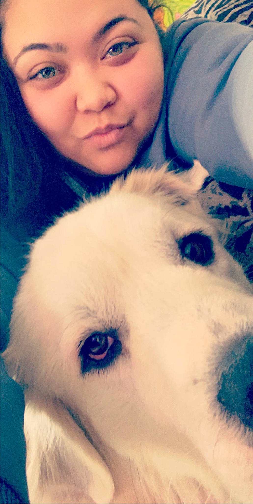 Moose is registered to the contest to win money with this photo: carnivore, cloud, companion_dog, dog, dog_breed, ear, eye, eyebrow, eyelash, fawn, gesture, happy, head, iris, jaw, mammal, nose, organ, whiskers, white