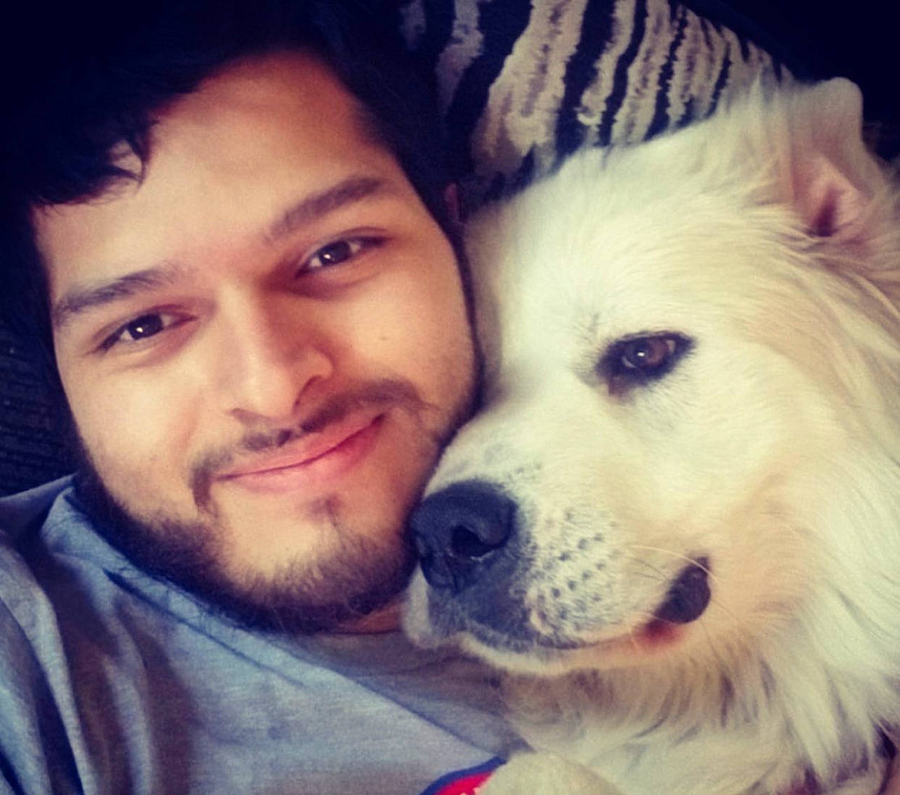 Moose joined the competition — help win amazing prizes! beard, carnivore, cloud, companion_dog, cool, dog, dog_breed, eye, eyebrow, fawn, gesture, hair, happy, head, jaw, mouth, nose, selfie, smile, whiskers