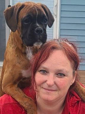 Zero joined the competition — help win amazing prizes! boxer, canidae, carnivore, companion_dog, dog, dog_breed, fawn, fur, giant_dog_breed, guard_dog, happy, jewellery, molosser, selfie, smile, snout, sporting_group, working_animal, working_dog, wrinkle