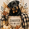 acorns, autumn, berries, black_and_tan, crate, decorative_background, dog, fall, indoor, lantern, leaves, pet, plaid_blanket, portrait, pumpkins, rottweiler, rustic, seasonal_decor, sitting, wooden_sign