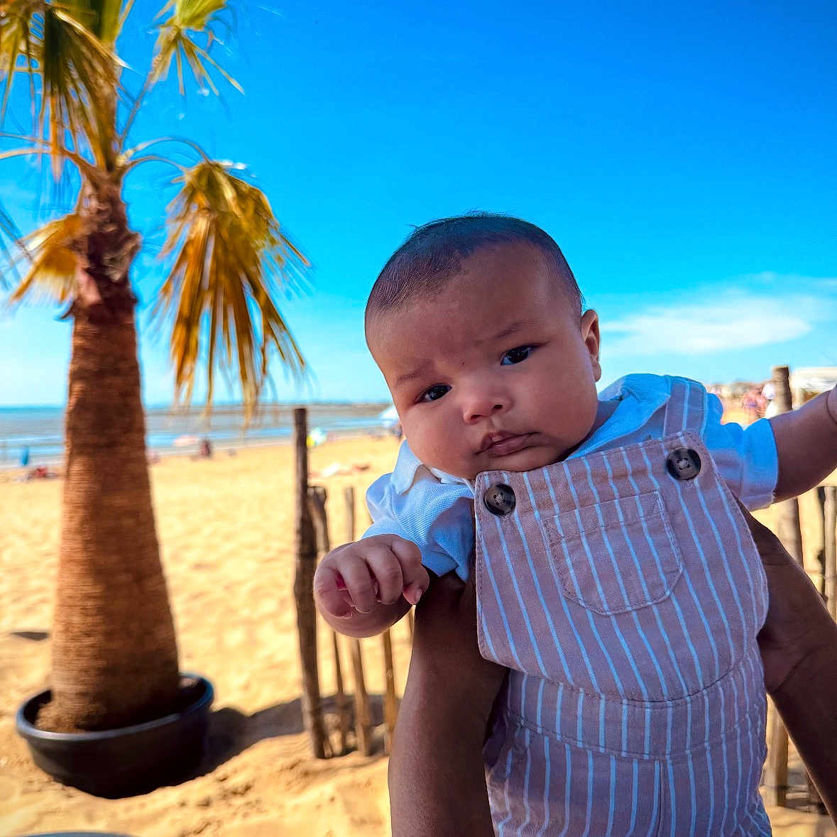 Ayden participe au concours pour gagner de l'argent avec cette photo : baby, child, person, beach, sand, palm_tree, sky, outdoor, sunny, clothing, overalls, blue_sky, summer, vacation, nature, portrait, holding, hand, toddler, casual