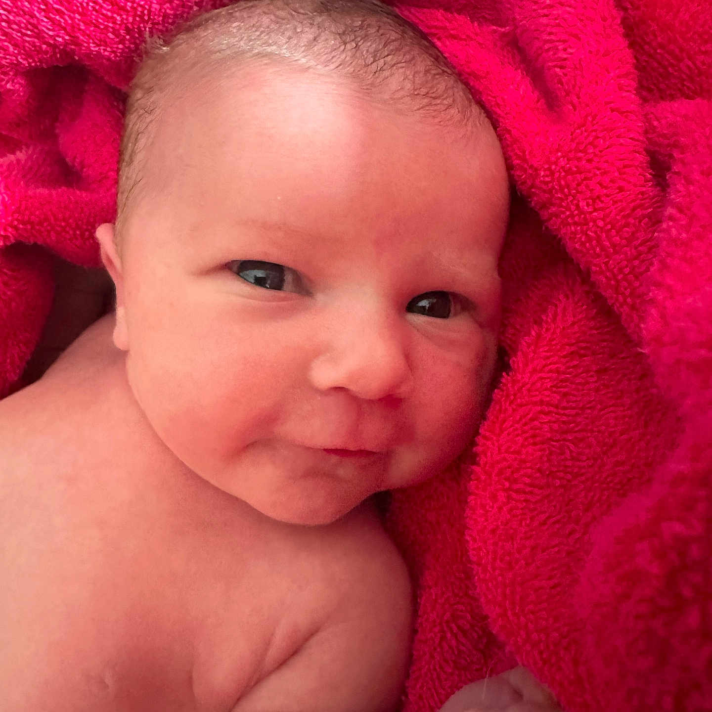 Ambre participe au concours pour gagner de l'argent avec cette photo : baby, child, closeup, cozy, cute, expression, eyes, face, hand, indoors, infant, newborn, portrait, red_towel, resting, skin, smile, soft_texture, warm, wrapping
