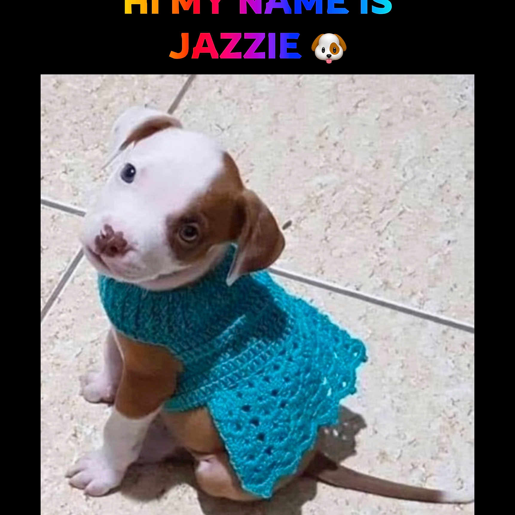 Jazzie