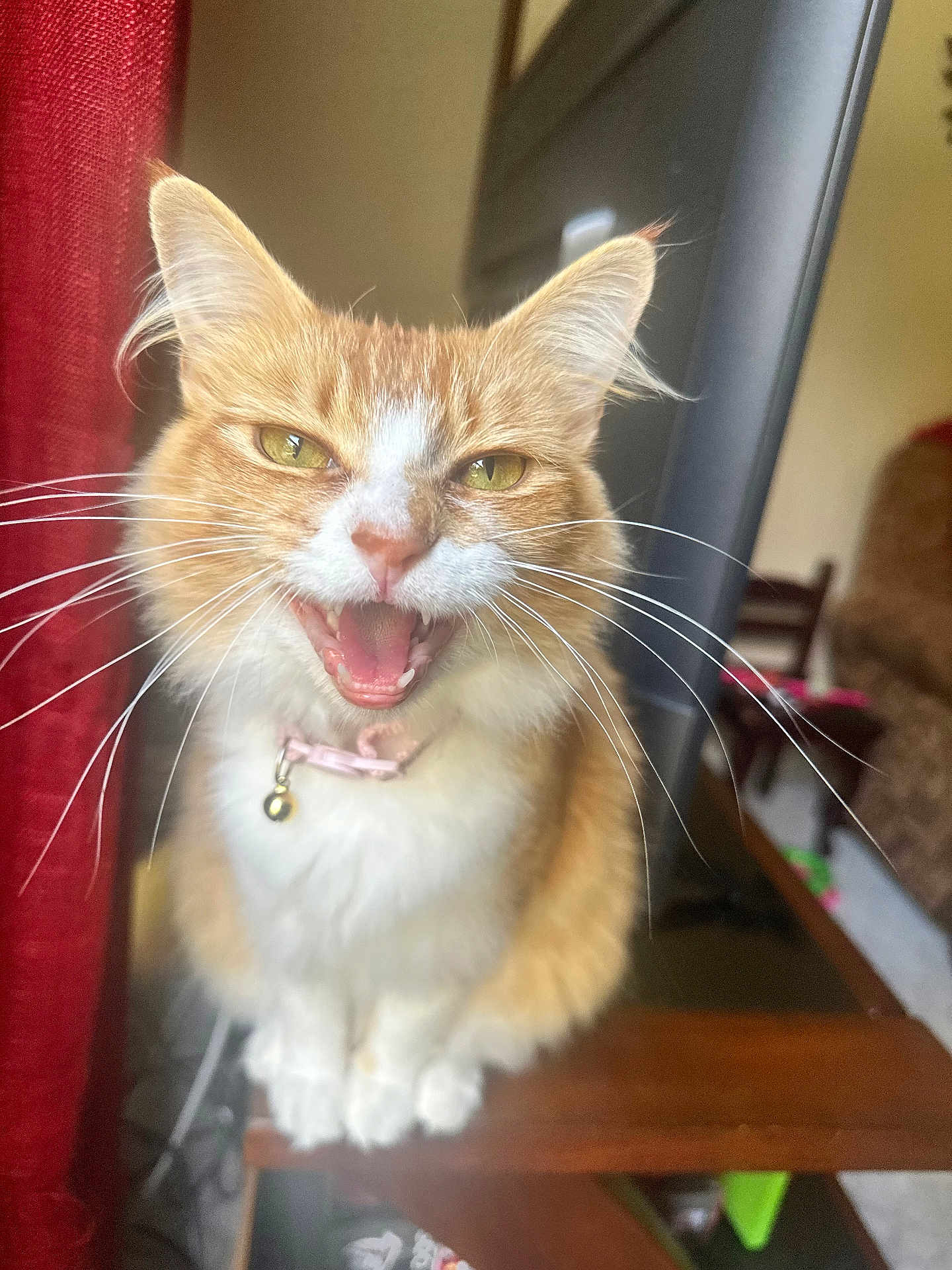 Kit Kat