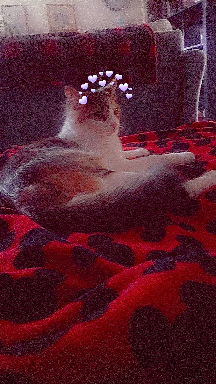 Butterball is registered to the contest to win money with this photo: art, carmine, dress, entertainment, event, fictional_character, flesh, glass, graphics, human_body, liquid, magenta, painting, pattern, peach, performing_arts, petal, pink, red, visual_arts