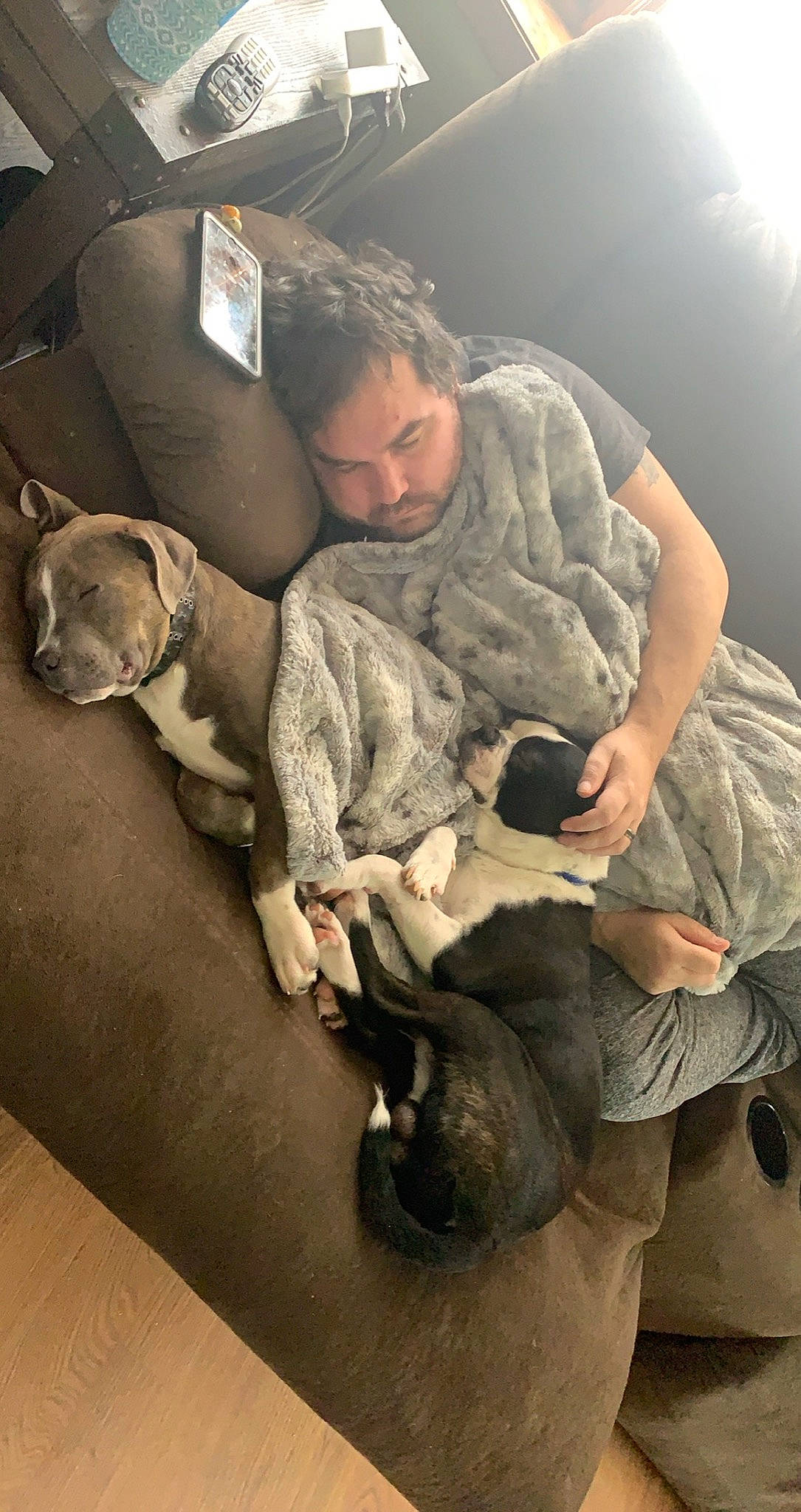 Rocco is registered to the contest to win money with this photo: army, boot, camouflage, canidae, carnivore, comfort, companion_dog, dog, dog_breed, fawn, fun, gesture, glove, marines, military_camouflage, military_person, military_uniform, sitting, soldier, sporting_group