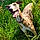 Pixel