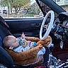 Pj is registered to the contest to win money with this photo: baby, car_interior, steering_wheel, plush_seat, toy, owl_toy, window, tree, car_seat, child, seatbelt, dashboard, gear_shift, house, parking_lot, side_mirror, seat, person, indoor, vehicle