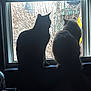 cat, cats, window, windowsill, silhouette, backlit, indoor, pet, pair, fur, tail, looking_out, curiosity, two_cats, sill, shadow, home, cozy, backlight, birdwatching