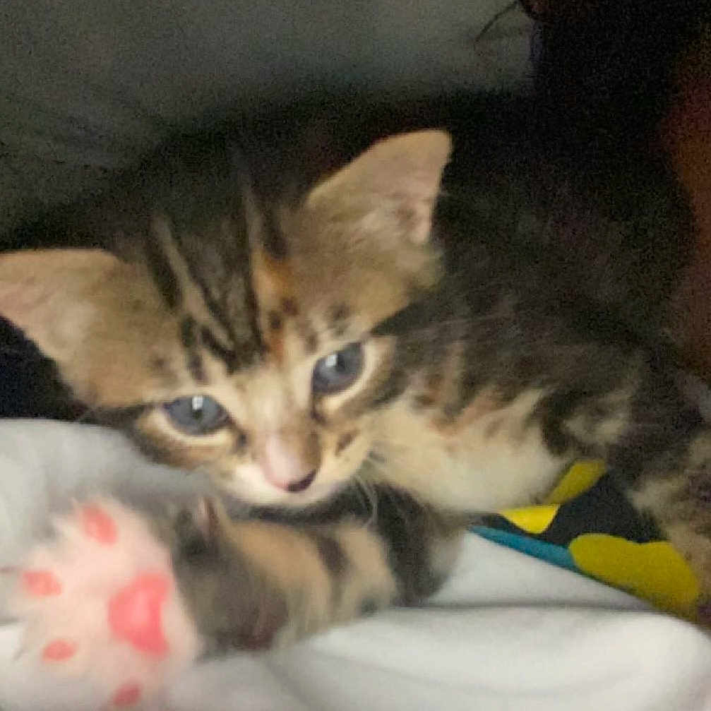 Luna