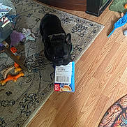 Kobe joined the competition — help win amazing prizes! dog, black_dog, indoor, rug, wood_floor, box, dog_toys, furniture, cabinet, glass_table, toy, pet, animal, playful, domestic, collar, floor, living_room, household, carpet