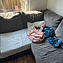 baby, blanket, bottle, couch, corner_couch, floor, glass_door, happy, indoors, living_room, person, pillow, plush, smiling, wood_floor, window, daylight, relaxing, child, casual