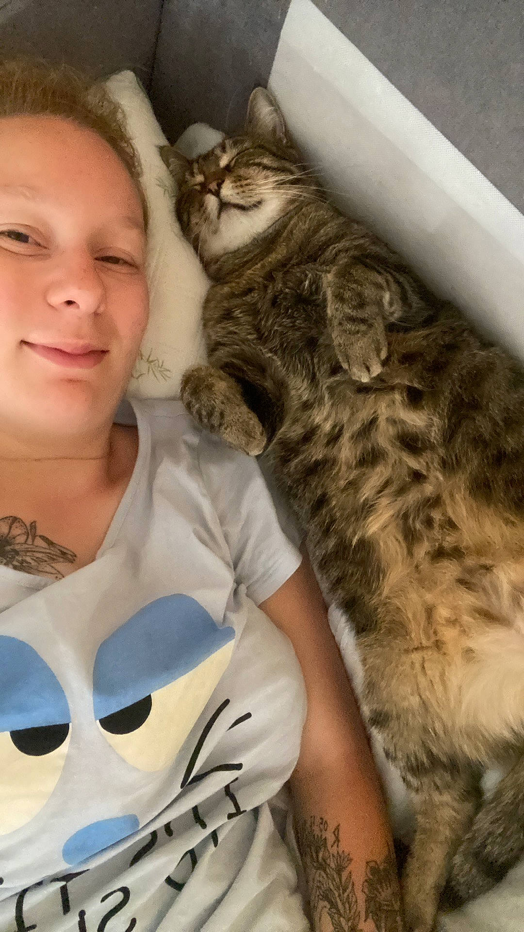 Bagheera a rejoint le concours — aidez-le/la à gagner de superbes lots ! big_cats, carnivore, cat, claw, domestic_short_haired_cat, eyewear, facial_expression, fawn, felidae, fur, happy, pattern, paw, small_to_medium_sized_cats, smile, t_shirt, whiskers