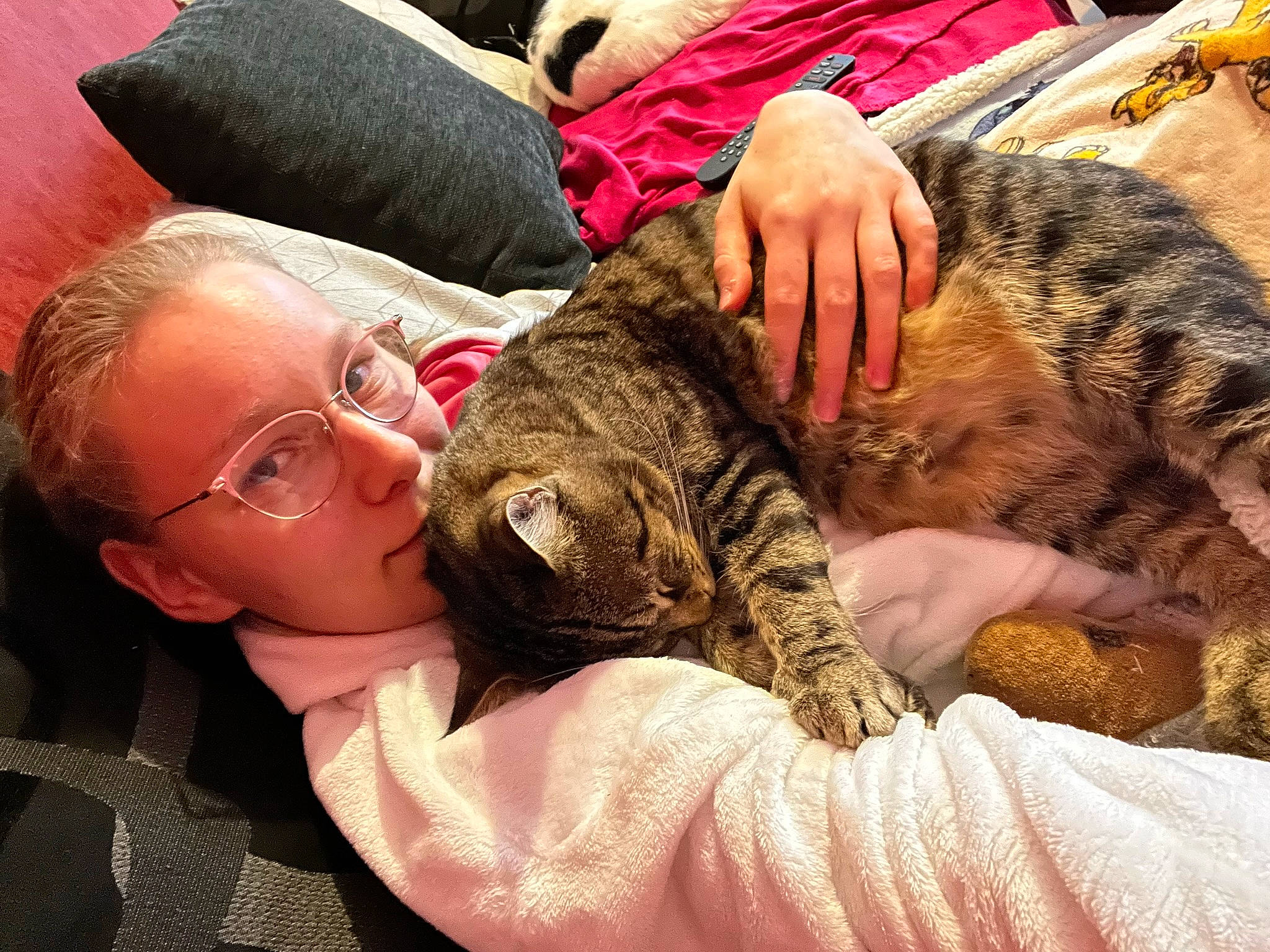 Bagheera participe au concours pour gagner de l'argent avec cette photo : bed, carnivore, cat, child, comfort, domestic_short_haired_cat, ear, fawn, felidae, finger, fur, gesture, hand, happy, lap, nail, nap, small_to_medium_sized_cats, vertebrate, whiskers