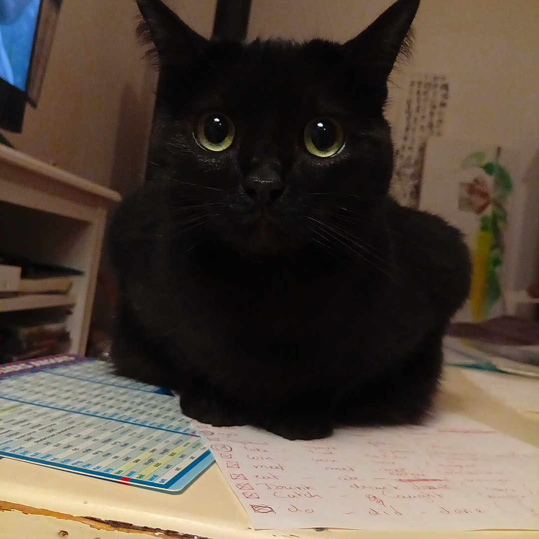Arya