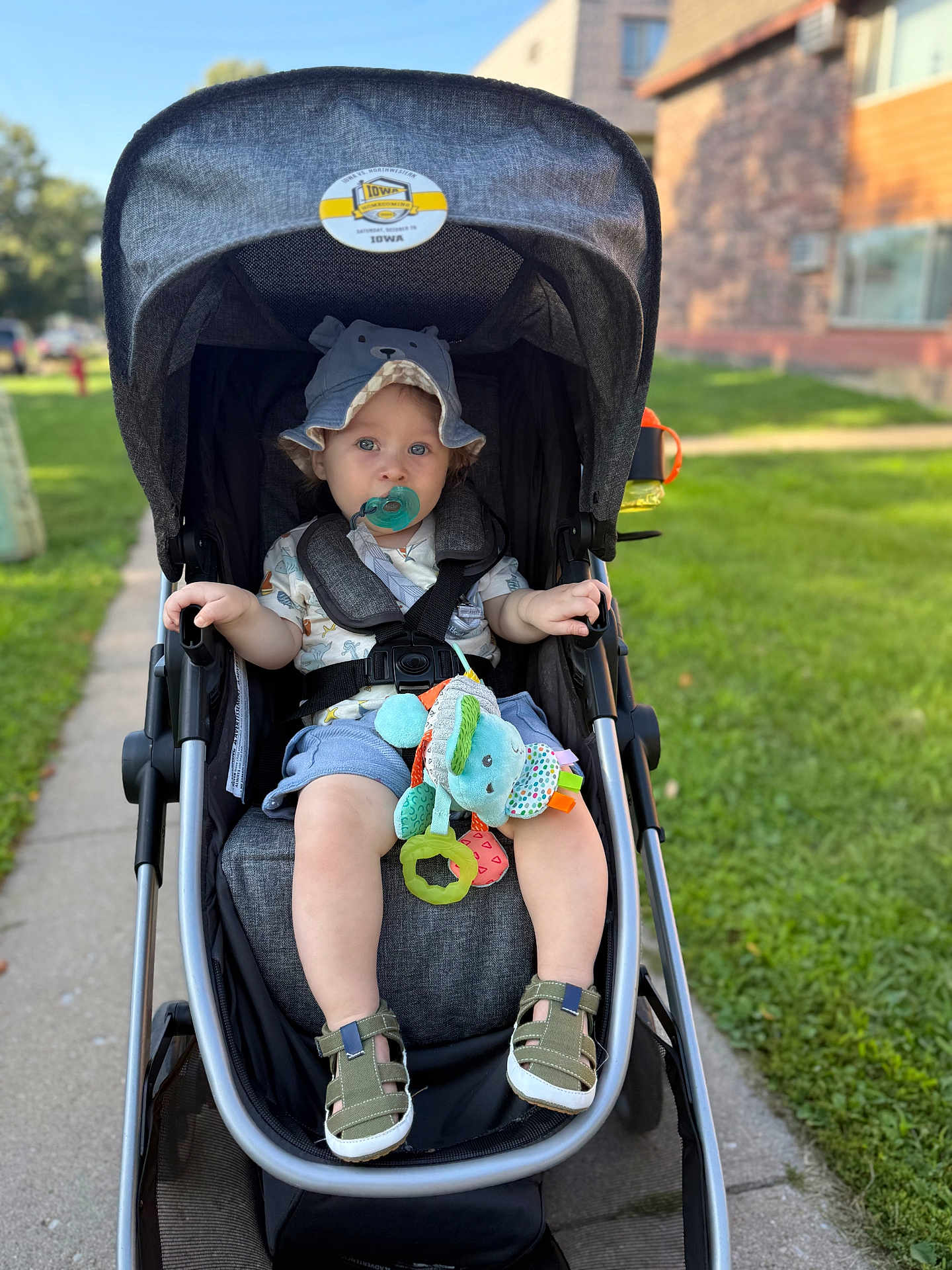 Richard joined the competition — help win amazing prizes! toddler, child, stroller, pacifier, hat, toy, elephant, outdoor, sidewalk, grass, sunny, summer, footwear, clothing, baby, seatbelt, green, blue, person, daytime