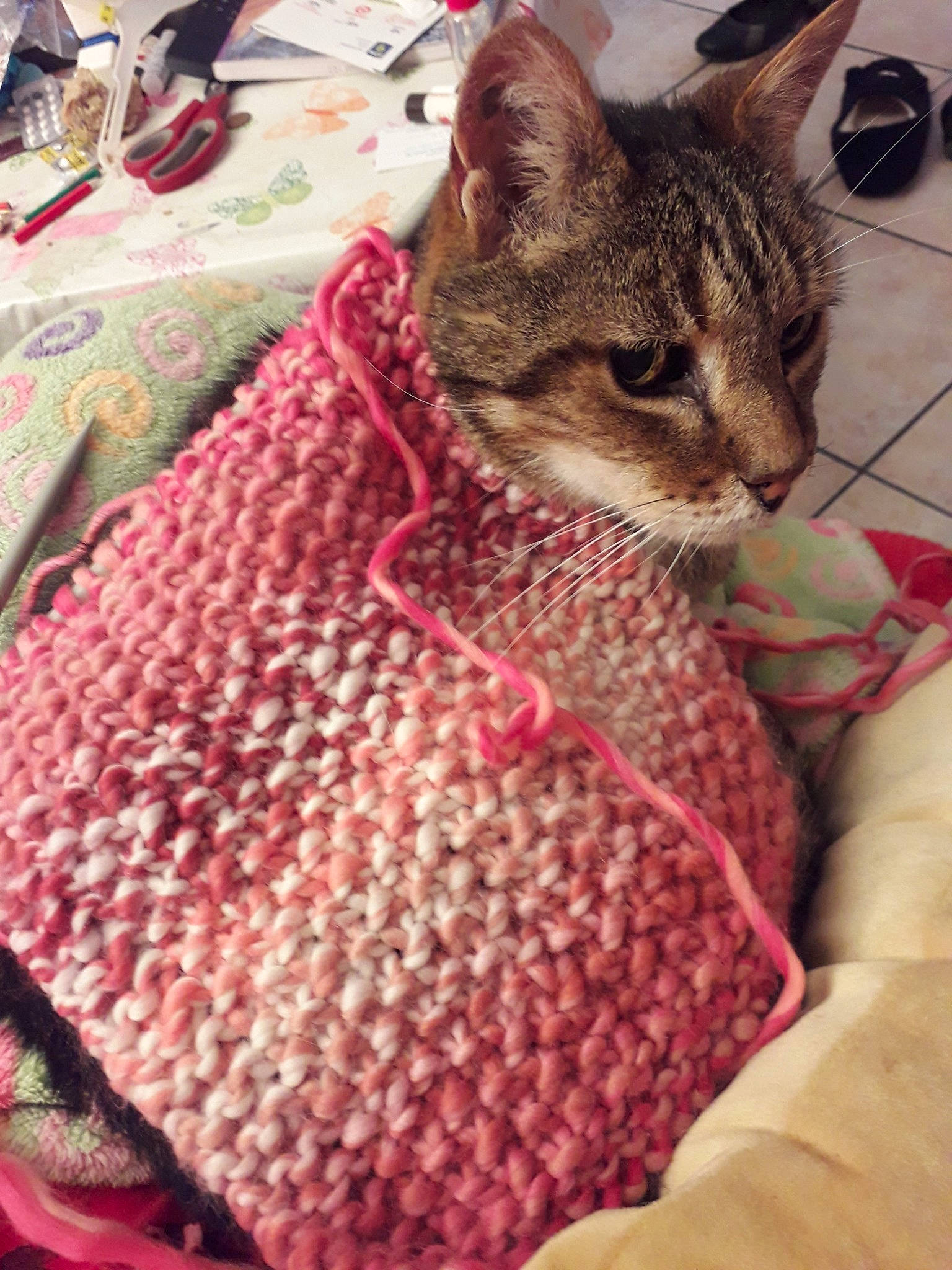 Serval participe au concours pour gagner de l'argent avec cette photo : art, carnivore, cat, chausie, crochet, domestic_short_haired_cat, fawn, felidae, knitting, ocicat, pattern, pink, small_to_medium_sized_cats, textile, thread, whiskers, wool, woven_fabric