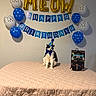 balloons, banner, bedspread, birthday, black_and_white, blue, bow_tie, cat, celebration, decoration, festive, gold, indoor, party_hat, pet, quilted, sign, table, wall, white