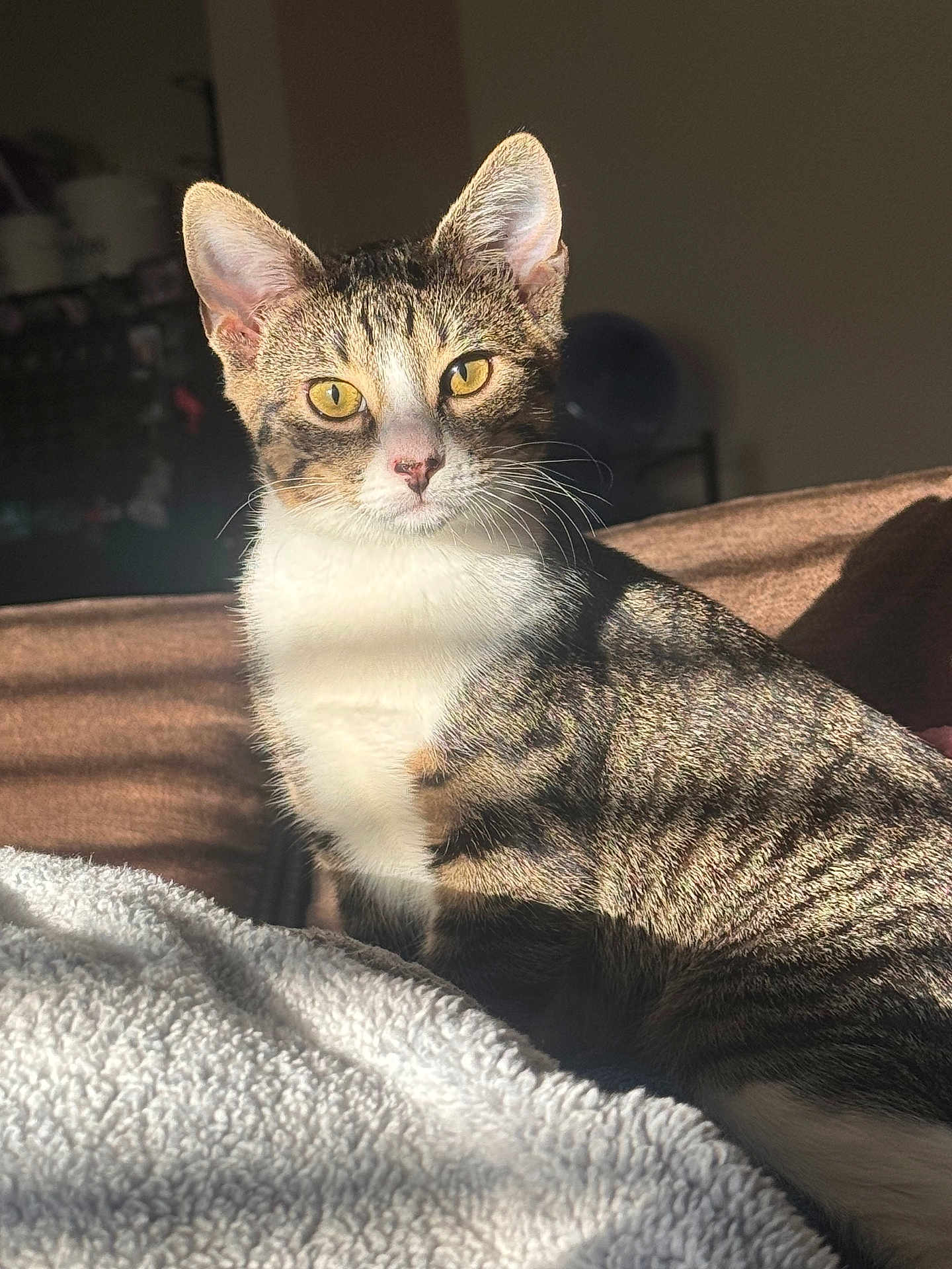 Rosita