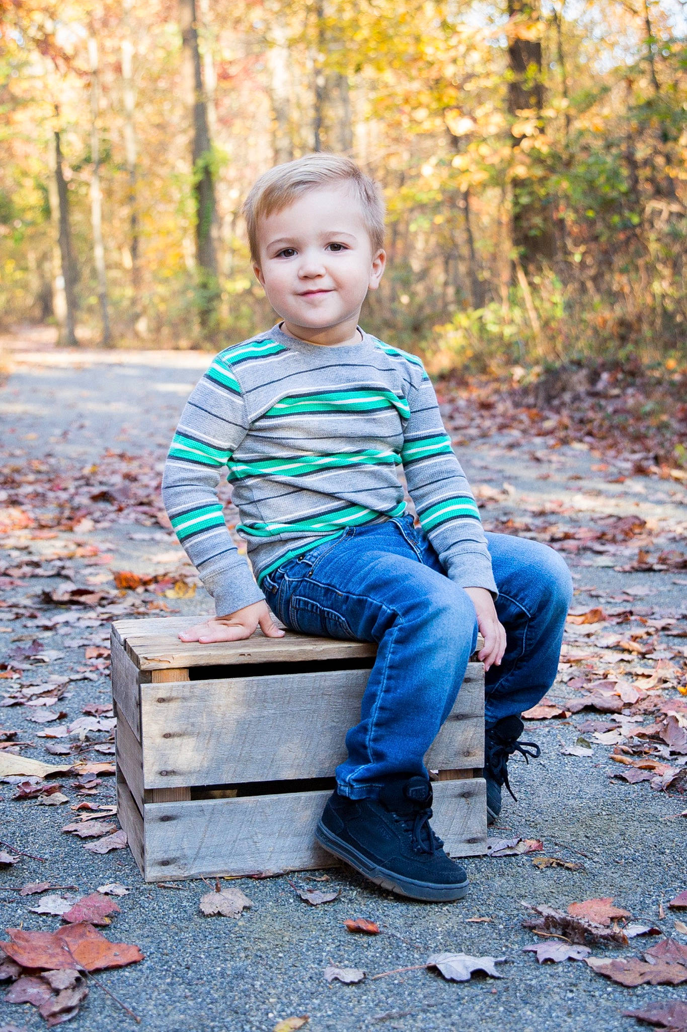 Clark joined the competition — help win amazing prizes! autumn, child, family, furniture, leaf, male, people, person, photograph, photography, plant, portrait_photography, sitting, smile, state_park, toddler, tree, wood, woodland