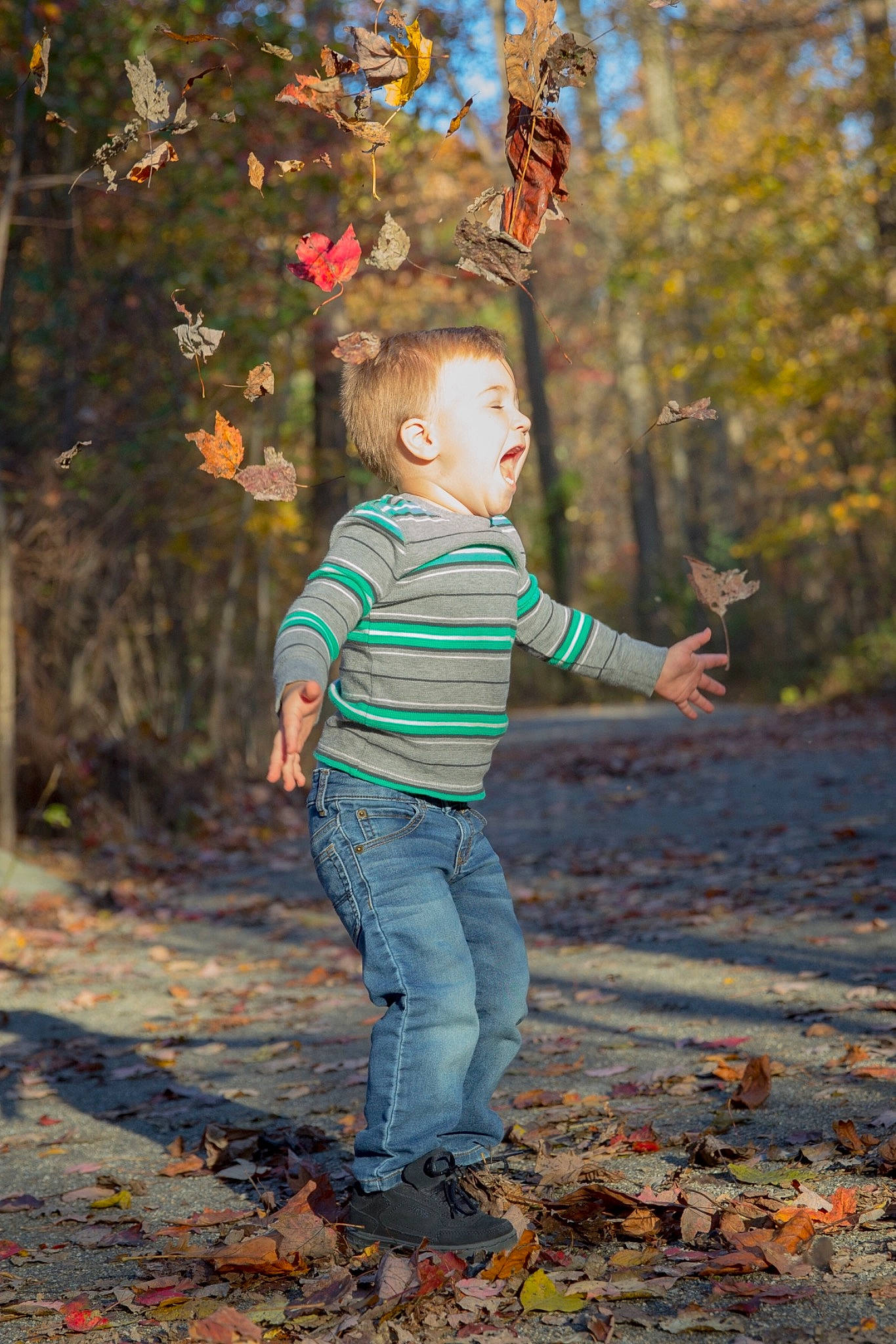 Clark is registered to the contest to win money with this photo: autumn, branch, child, deciduous, forest, happy, leaf, people_in_nature, person, photograph, photography, plant, portrait_photography, standing, toddler, tree, woodland, woody_plant