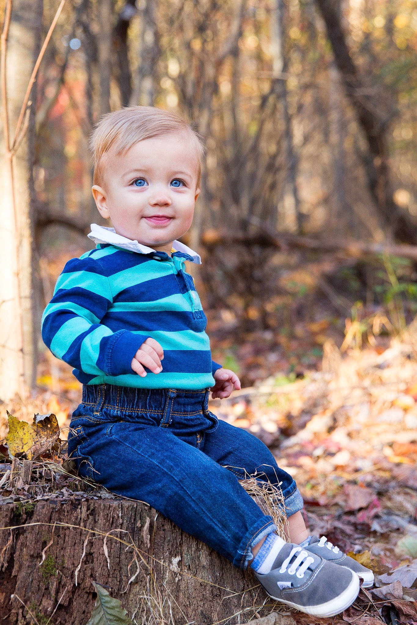Preston joined the competition — help win amazing prizes! autumn, baby, child, child_model, grass, joy, leaf, people_in_nature, person, photograph, photography, plant, portrait, portrait_photography, shortstraw_pine, sitting, smile, toddler, tree, wood