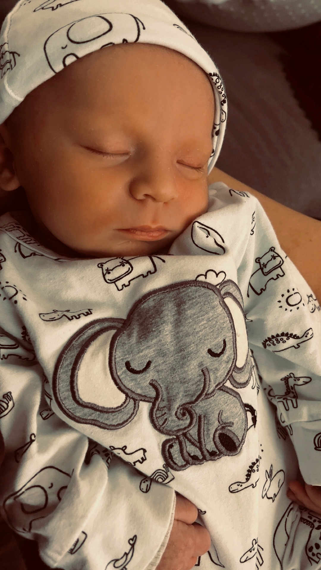 Gabriel a rejoint le concours — aidez-le/la à gagner de superbes lots ! baby, sleeping, infant, clothing, hat, elephant, animal_print, closeup, peaceful, cute, child, soft_light, hand, newborn, portrait, indoors, fabric, toddler, sleep, cozy