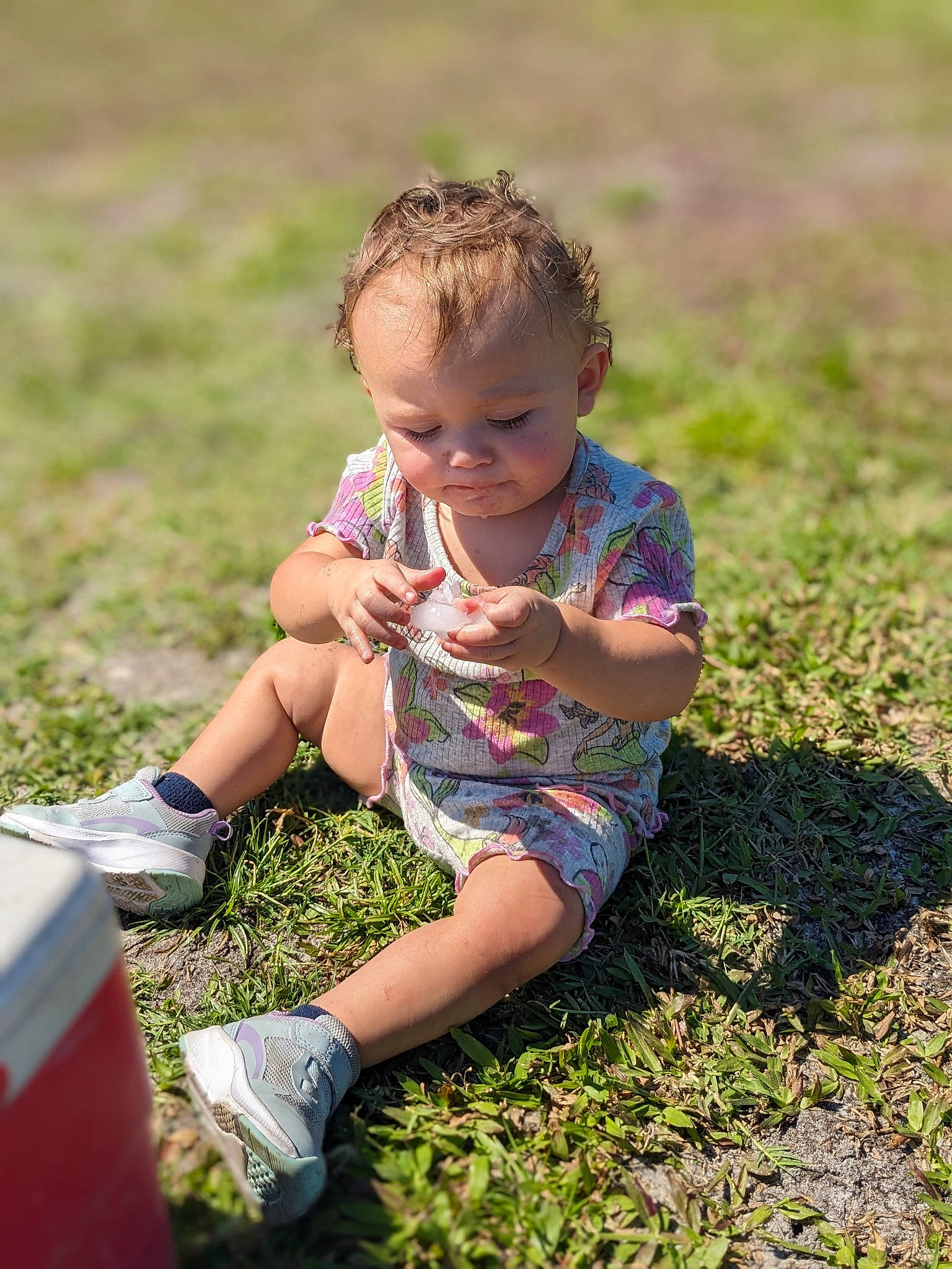 Amelia is registered to the contest to win money with this photo: baby, baby_toddler_clothing, child, fun, grass, grass_family, grassland, happy, human_leg, landscape, lawn, leaf, meadow, people_in_nature, person, plant, recreation, shorts, sitting, sunlight