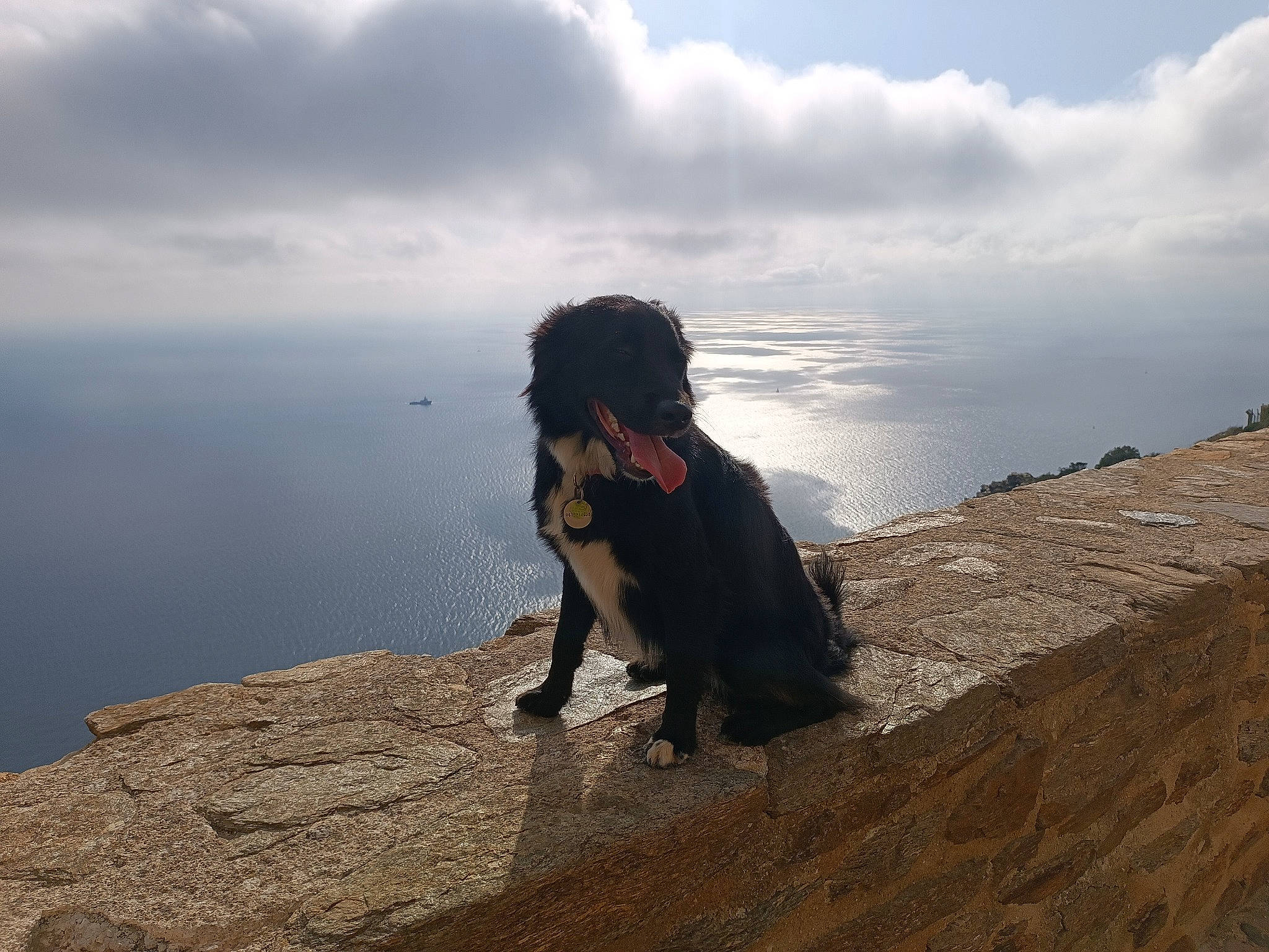 Baguerra participe au concours pour gagner de l'argent avec cette photo : adventure, cloud, coast, flash_photography, fun, fur, happy, horizon, landscape, leisure, ocean, people_in_nature, recreation, rock, sitting, sky, travel, water, wind, wood