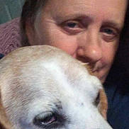 Buddy joined the competition — help win amazing prizes! affection, animal, canine, closeup, companionship, cozy, dog, ears, face, friendship, furry, head, human, indoor, mammal, nose, person, pet, portrait, togetherness