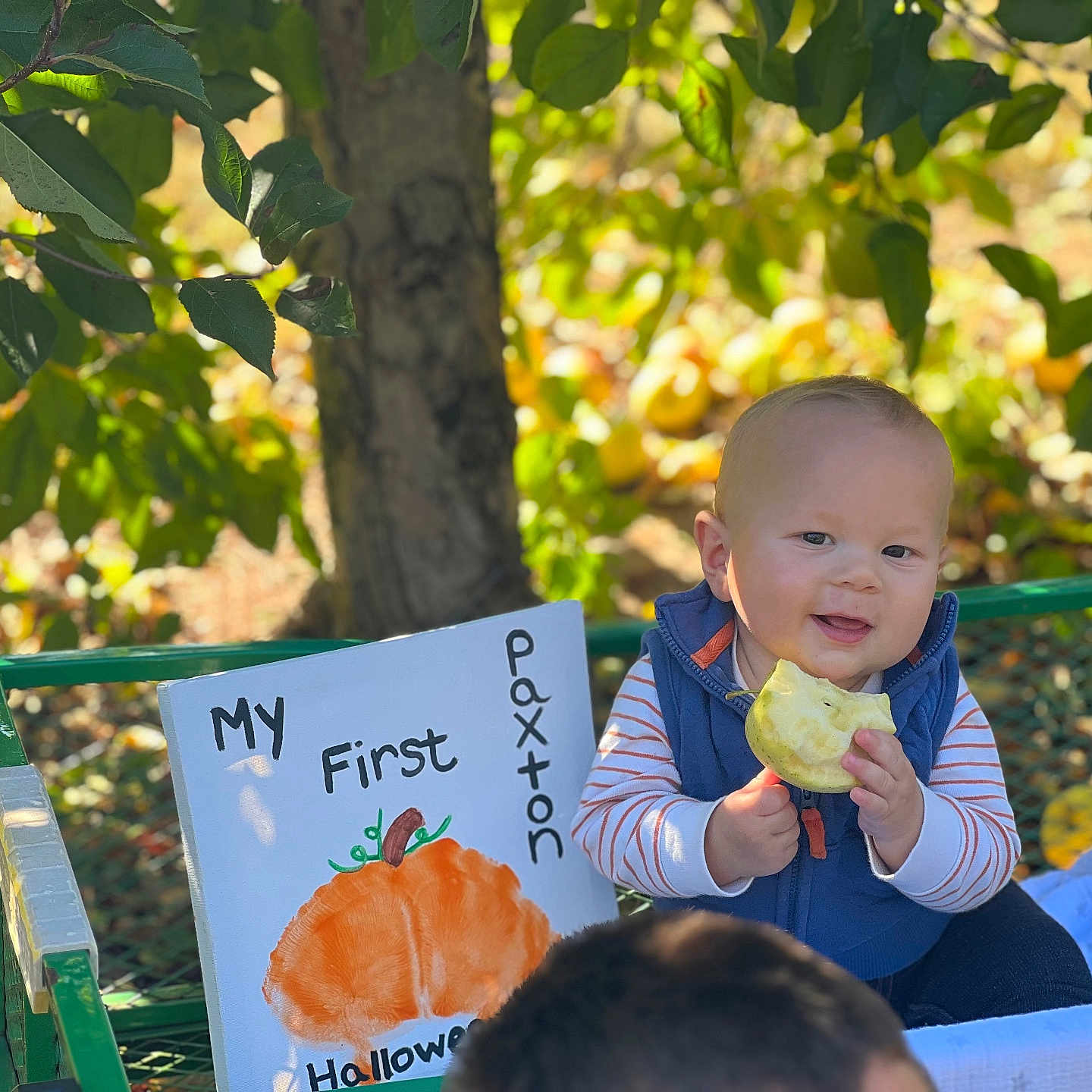 Paxton Lee joined the competition — help win amazing prizes! baby, boy, bread, child, cream, dessert, eating, face, food, fruit, grass, head, leaf, male, person, photography, plant, portrait, produce, sitting