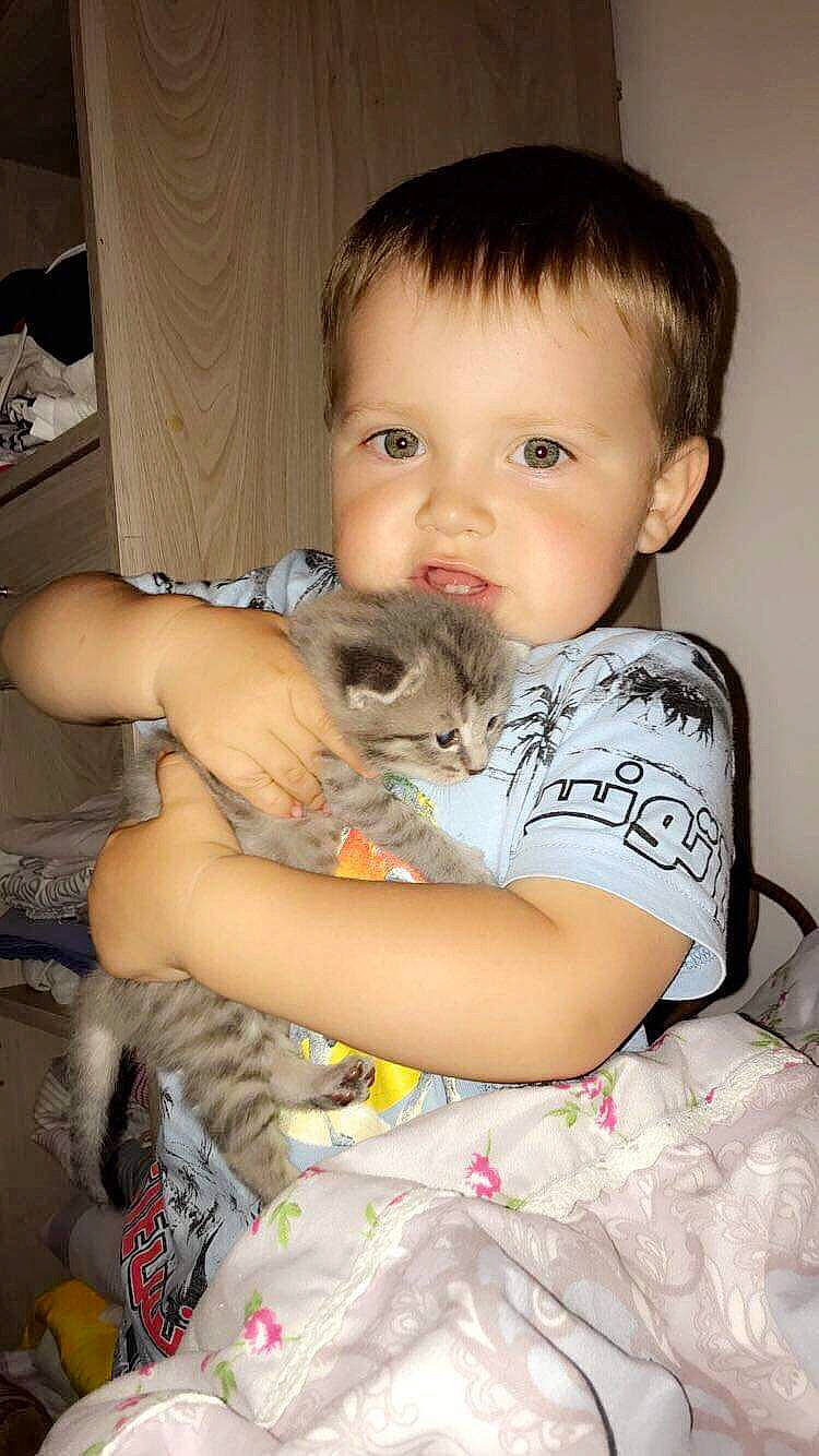 Noam a rejoint le concours — aidez-le/la à gagner de superbes lots ! baby, carnivore, cat, cheek, child, eye, fawn, felidae, iris, kitten, person, play, skin, small_to_medium_sized_cats, toddler