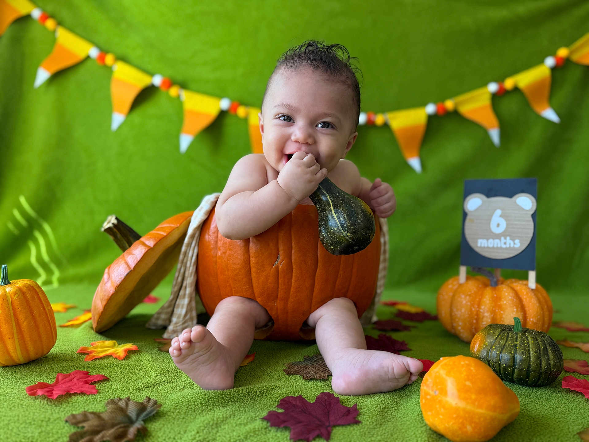 Lucas is registered to the contest to win money with this photo: baby, pumpkin, gourd, green_background, autumn, fall_leaves, smiling, sitting, six_months, milestone, decorations, cute, child, playful, orange, holiday, festive, portrait, indoor, celebration