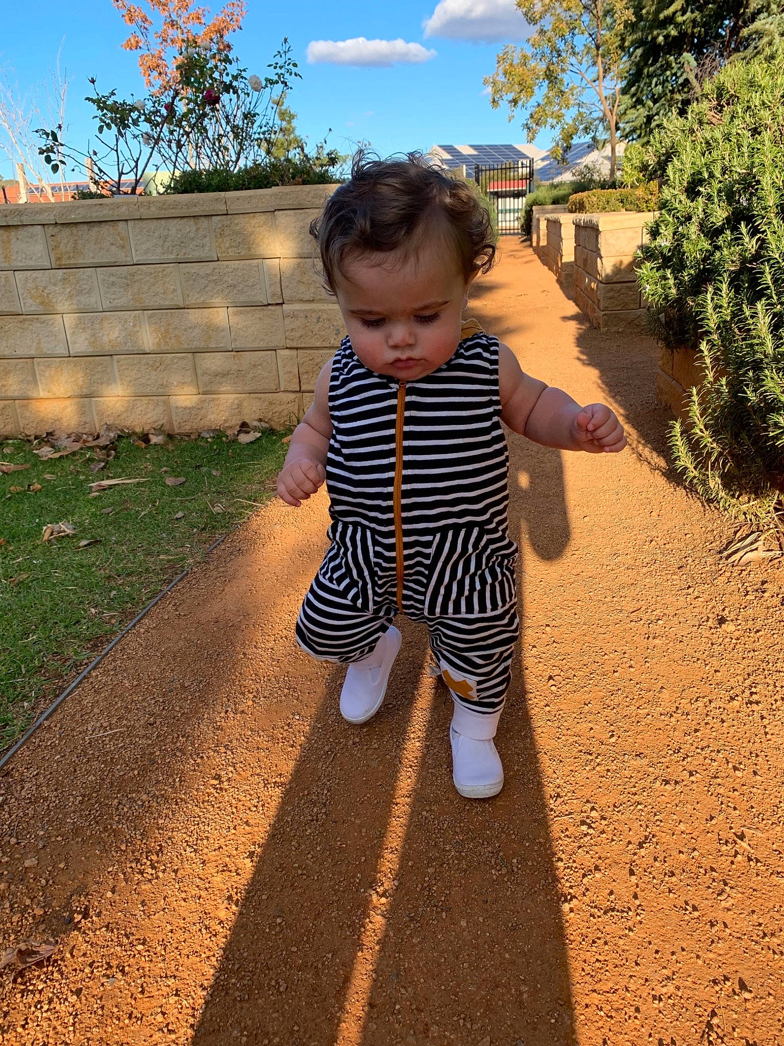 Tremaine is registered to the contest to win money with this photo: child, leaf, pattern, person, plant, play, shadow, sky, soil, summer, toddler, tree, vacation, walking