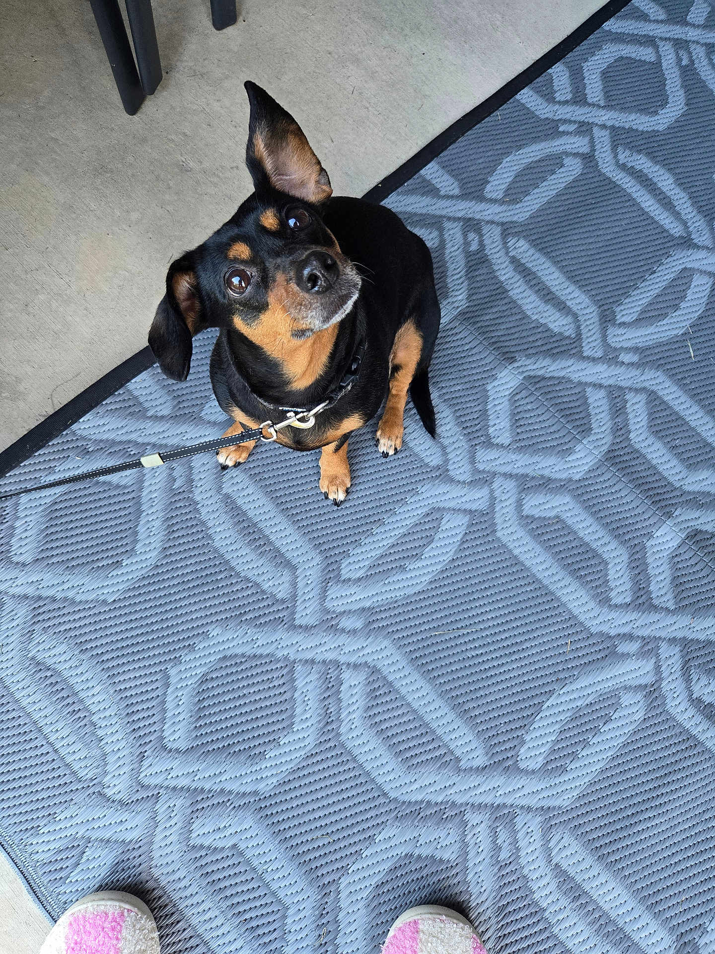 Roxy
