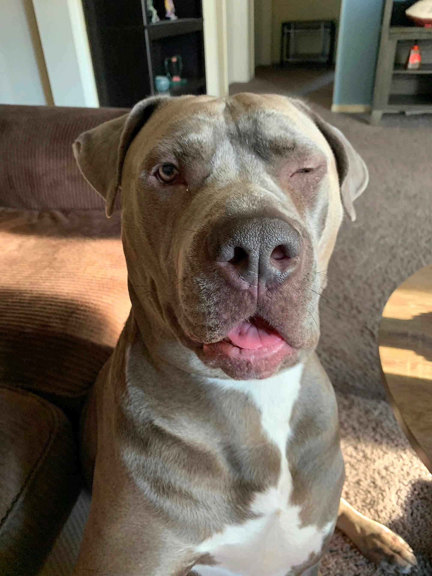 Jax