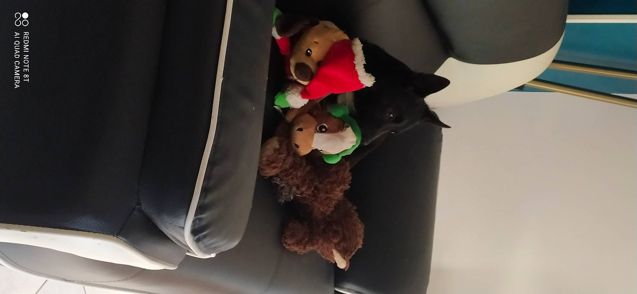 Luna a rejoint le concours — aidez-le/la à gagner de superbes lots ! animation, baby_products, baby_toys, bear, carmine, child, christmas, curtain, event, fictional_character, hat, linens, plush, room, stuffed_toy, teddy_bear, toy