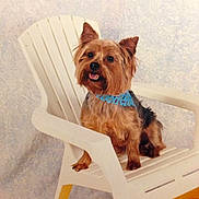 Skeeter Redmon joined the competition — help win amazing prizes!