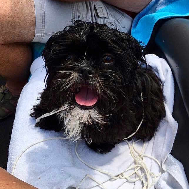 Vallie Girl