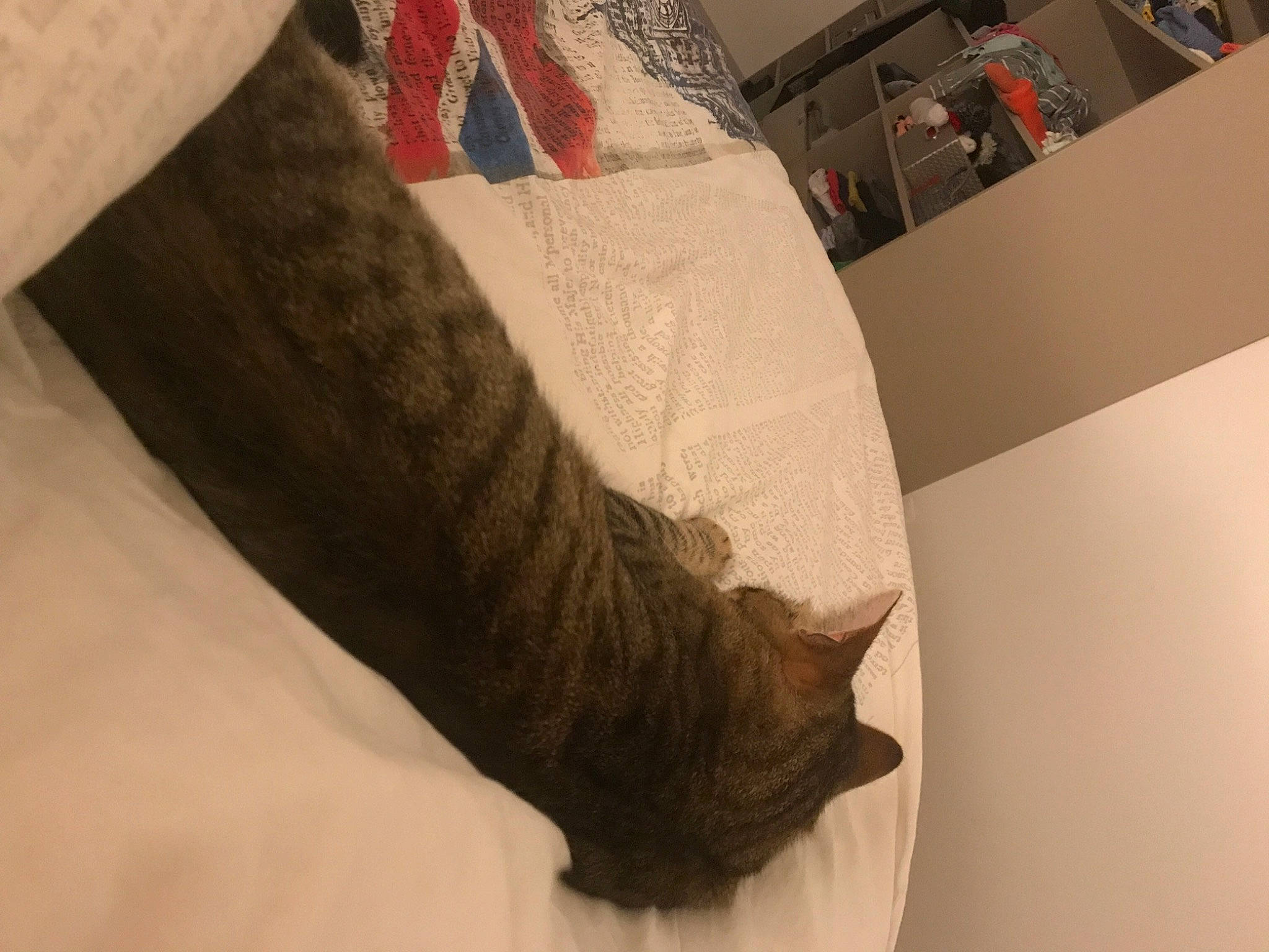 Yuki a rejoint le concours — aidez-le/la à gagner de superbes lots ! leg