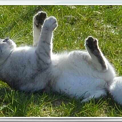 Izzye participe au concours pour gagner de l'argent avec cette photo :