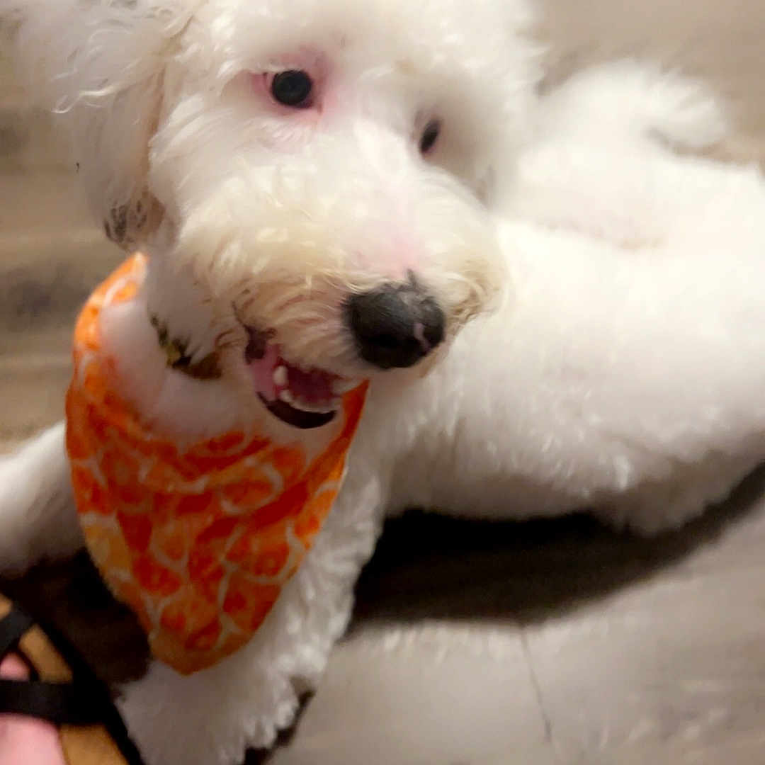 Tilly