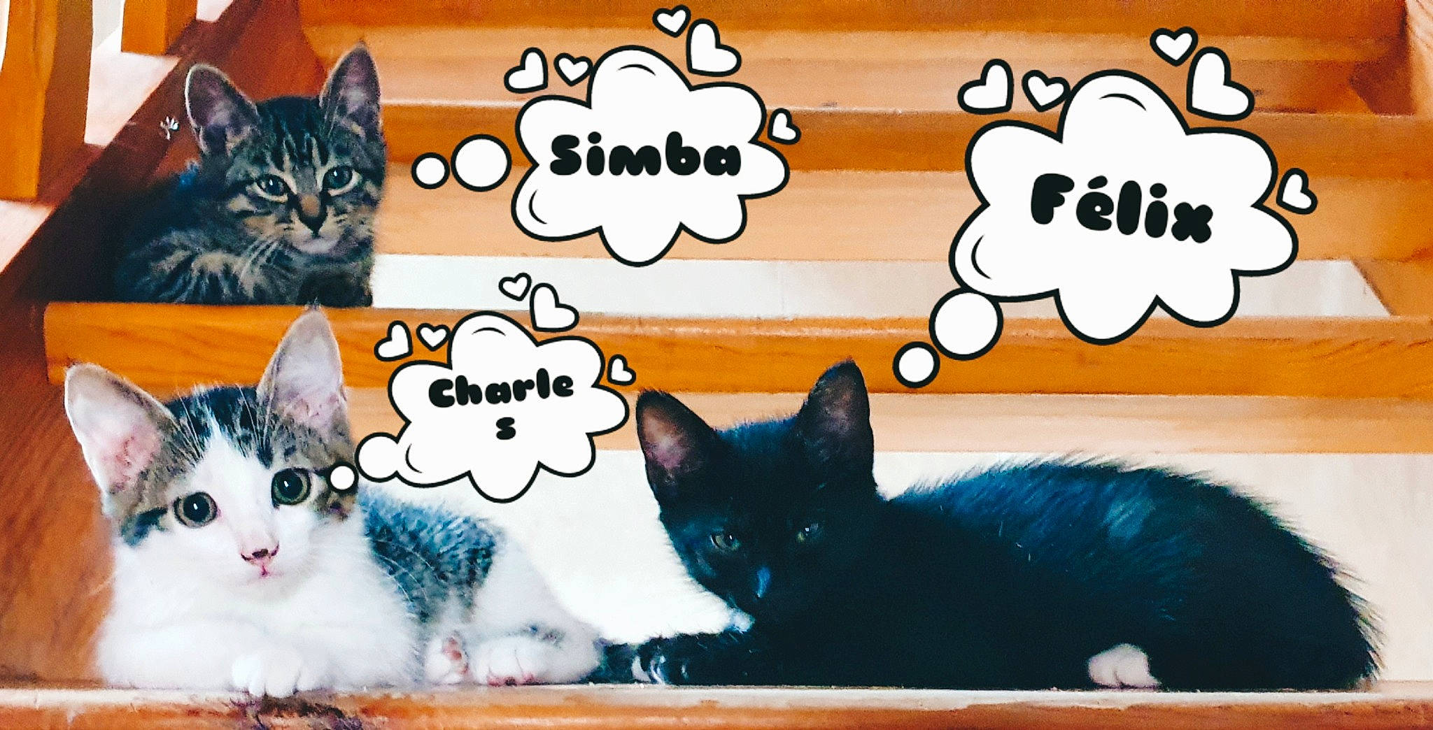 Simba Félix Charles